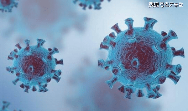 探索自然美景之旅,太湖字谜与内心的宁静探索