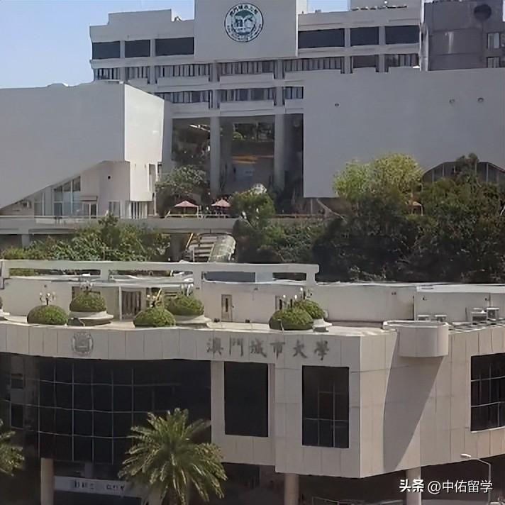 2024年澳门的资料热,数据驱动决策_THD77.420预测版