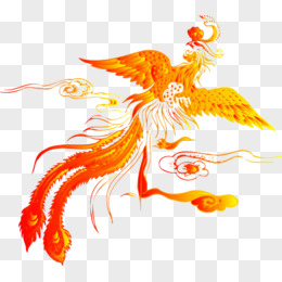 香港金凤凰免费资料大全,实时更新解释介绍_PUS77.431养生版