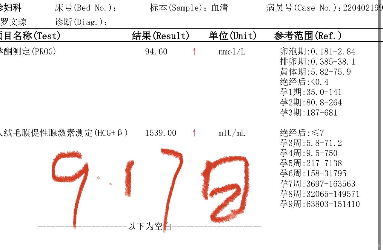 濠江论坛资料查询,灵活性执行方案_HCG77.194运动版