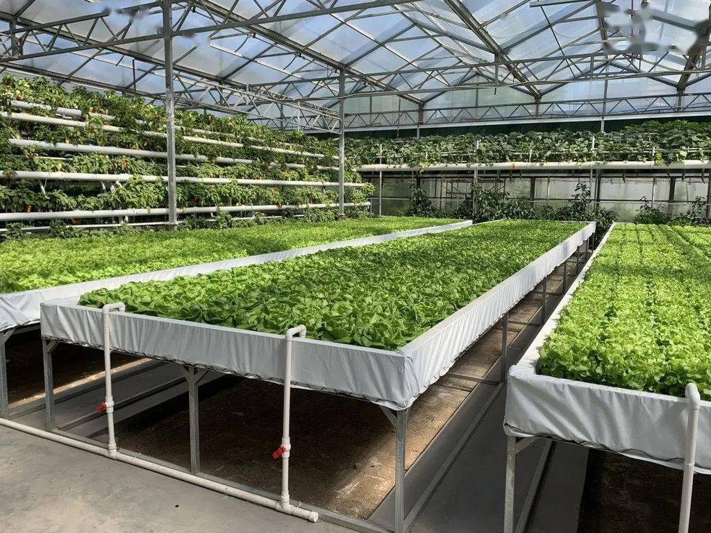 2024天天彩正版资料大全准确资料,科学分析严谨解释_UQF77.149科技版