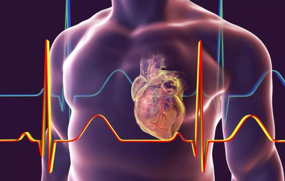 2024天天彩正版资料大全准确资料,科学分析严谨解释_UQF77.149科技版