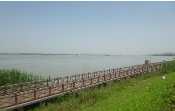 赵丽颖最新剧照曝光,赵丽颖最新剧照曝光,与大自然的美景共舞,寻找内心的宁静之旅