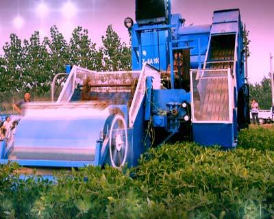 最新花生联合收割机解决秋收难题,高效便捷助力农业生产🌟