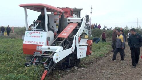 最新花生联合收割机解决秋收难题,高效便捷助力农业生产🌟