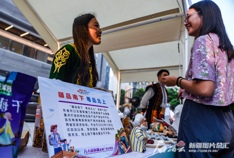 新奥门正版免费资料大全旅游团,释意性描述解_AAW55.698高效版