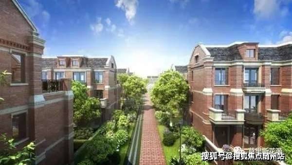 13262cm查询网最新版本更新内容,系统评估分析_CKX55.742抗菌版