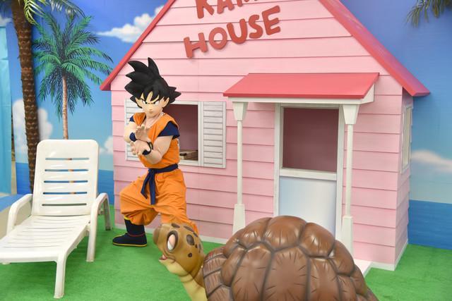 探索龙珠世界最新动态揭秘!