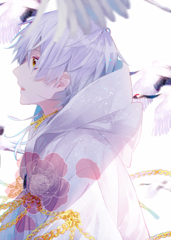 日漫最新,温馨日常的彩色篇章