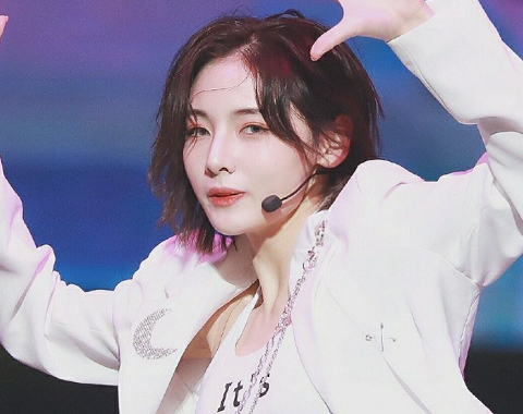 娱乐热潮中的璀璨新星,最新明星闪耀登场!