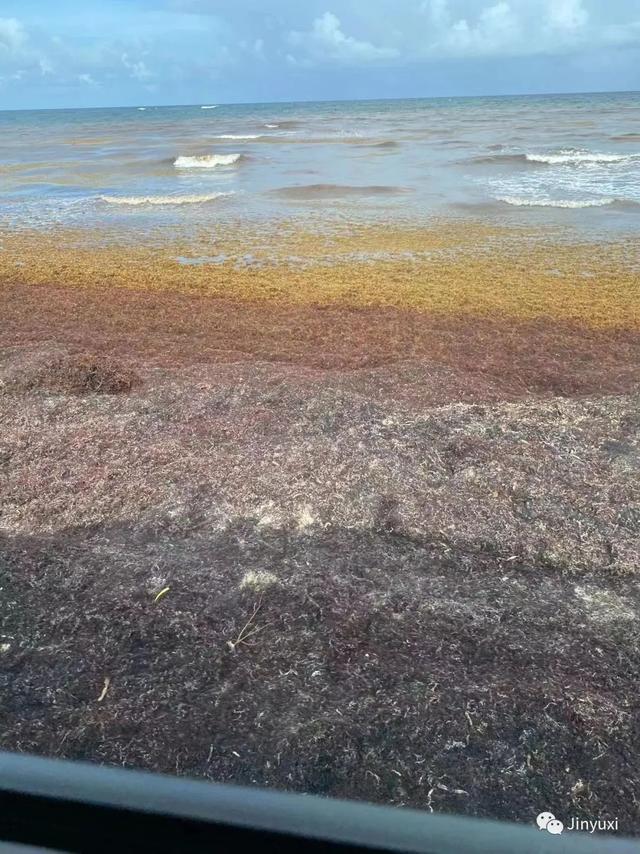 自然美景探索之旅,最新鼓舞人心的旅行经历分享