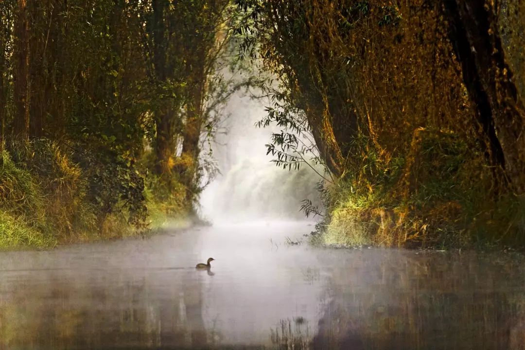 自然美景探索之旅,最新鼓舞人心的旅行经历分享