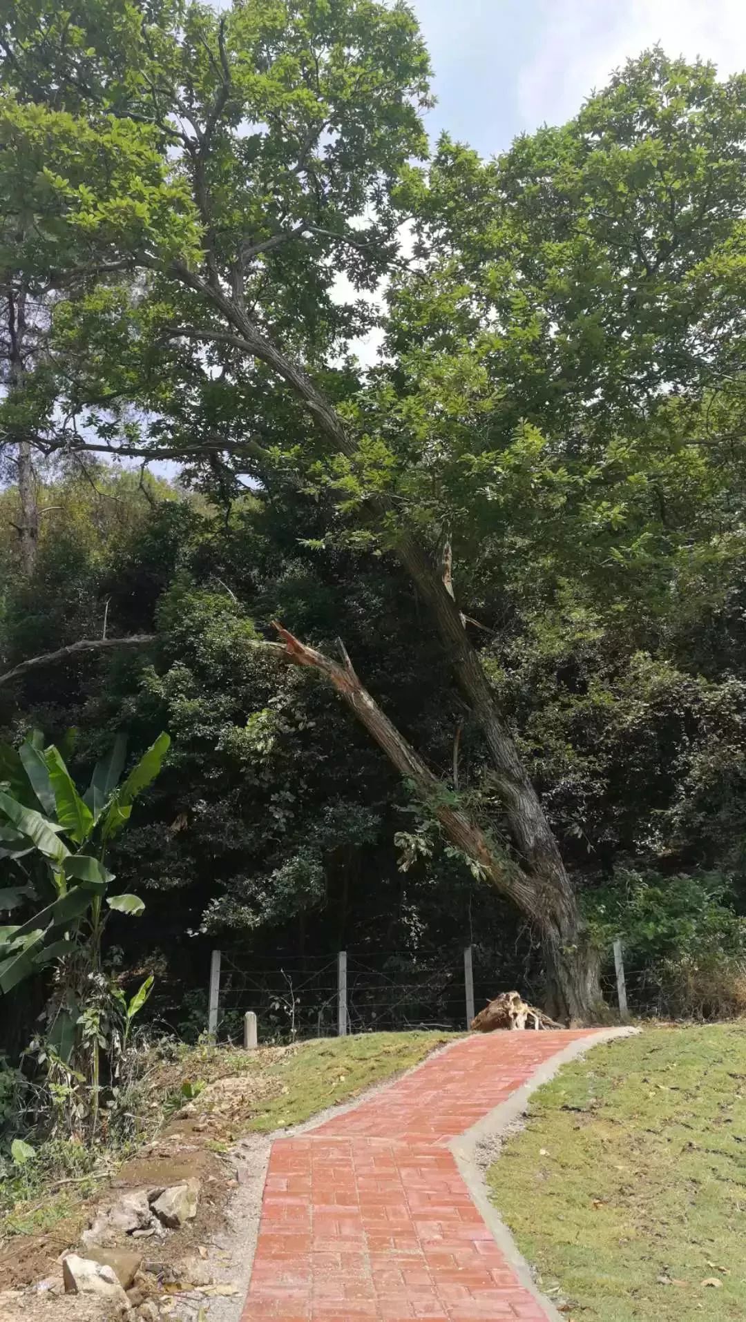 新冠最新通报，启程自然美景探索之旅