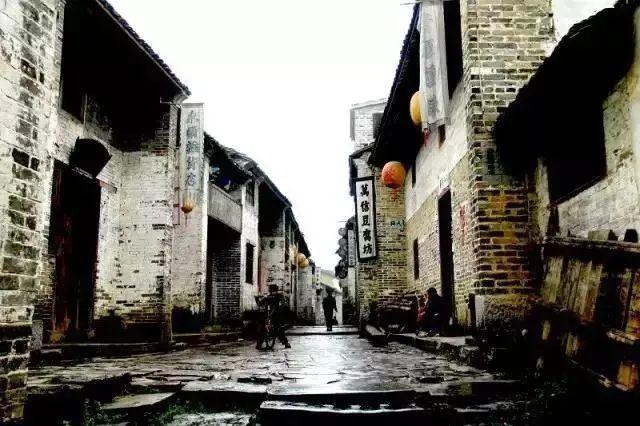 自然共舞,最新热门小说的奇妙旅程