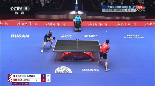 最新乒乓球比赛,热血激战,技艺比拼的盛宴