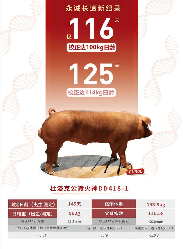 香港二四六最快开奖,策略优化计划_HEC23.394跨界版