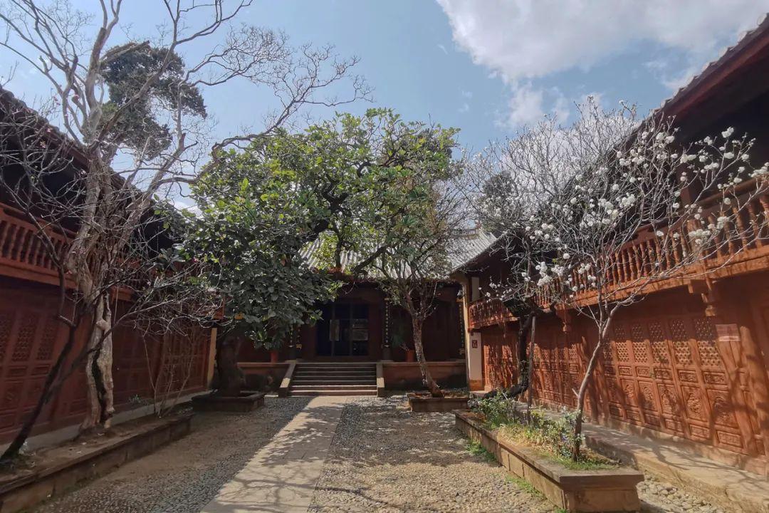 地震预测最新动态揭秘,小巷深处的神秘小店引领探索未来