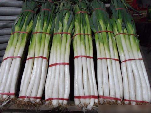 大葱最新价格行情与小巷深处的独特风味