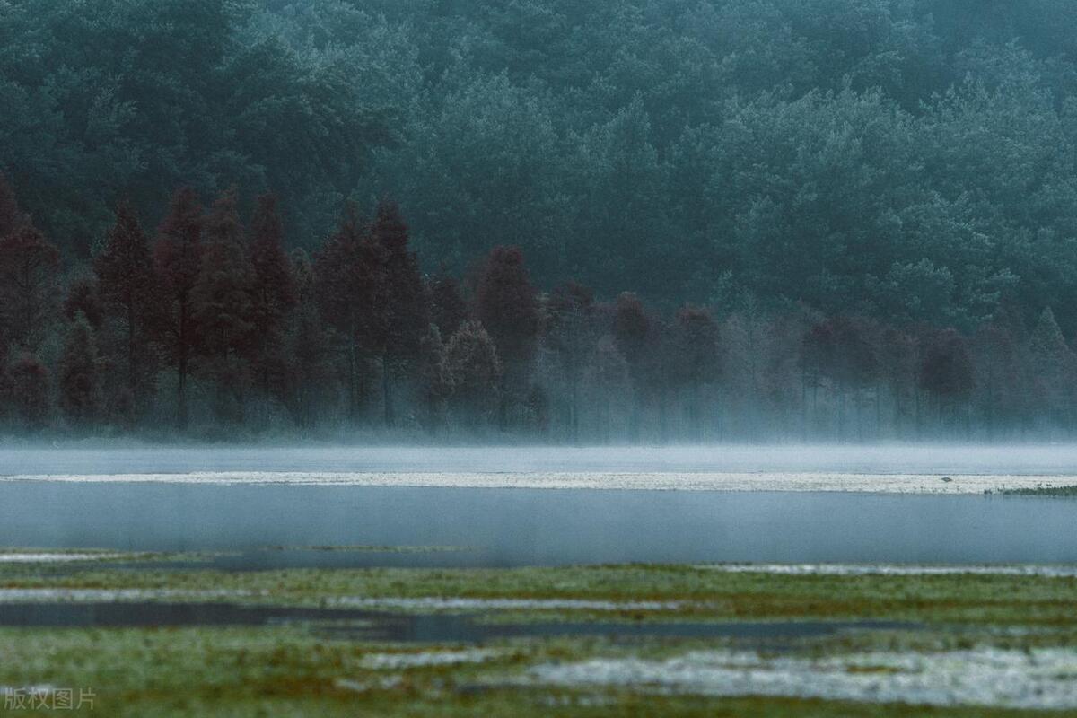 最新韩剧热播,与大自然共舞的奇妙旅程