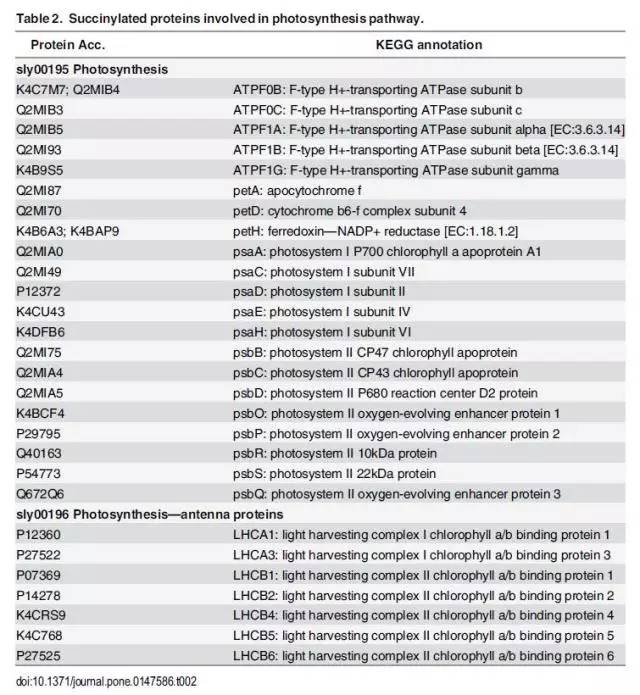 香港正版资料免费大全下载,精细化实施分析_AGW27.568装饰版