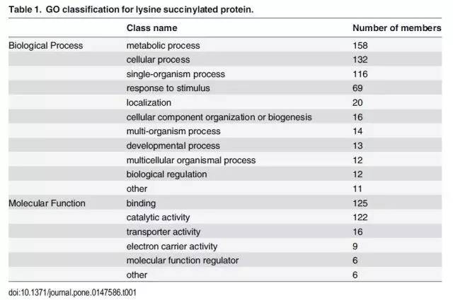 香港正版资料免费大全下载,精细化实施分析_AGW27.568装饰版