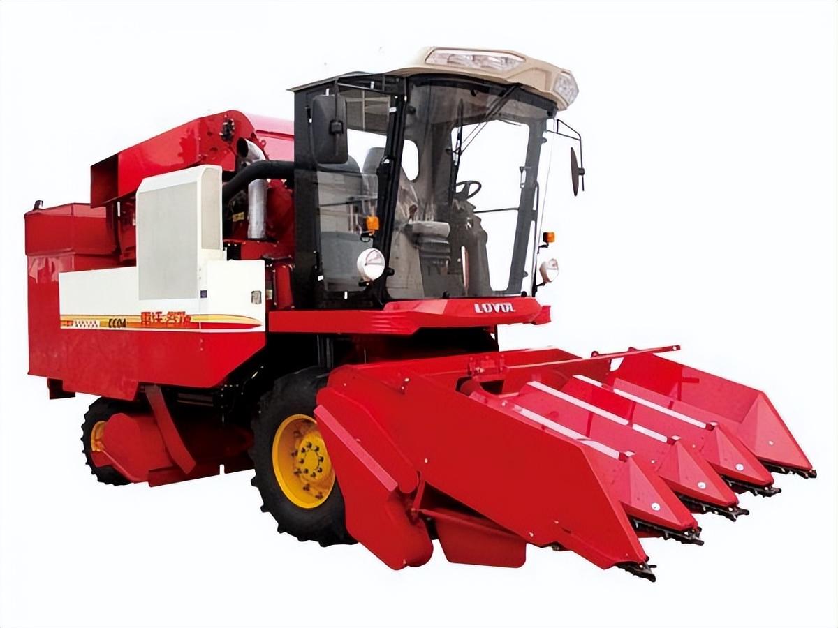 河南玉米最新价格指南,最新行情与价格分析