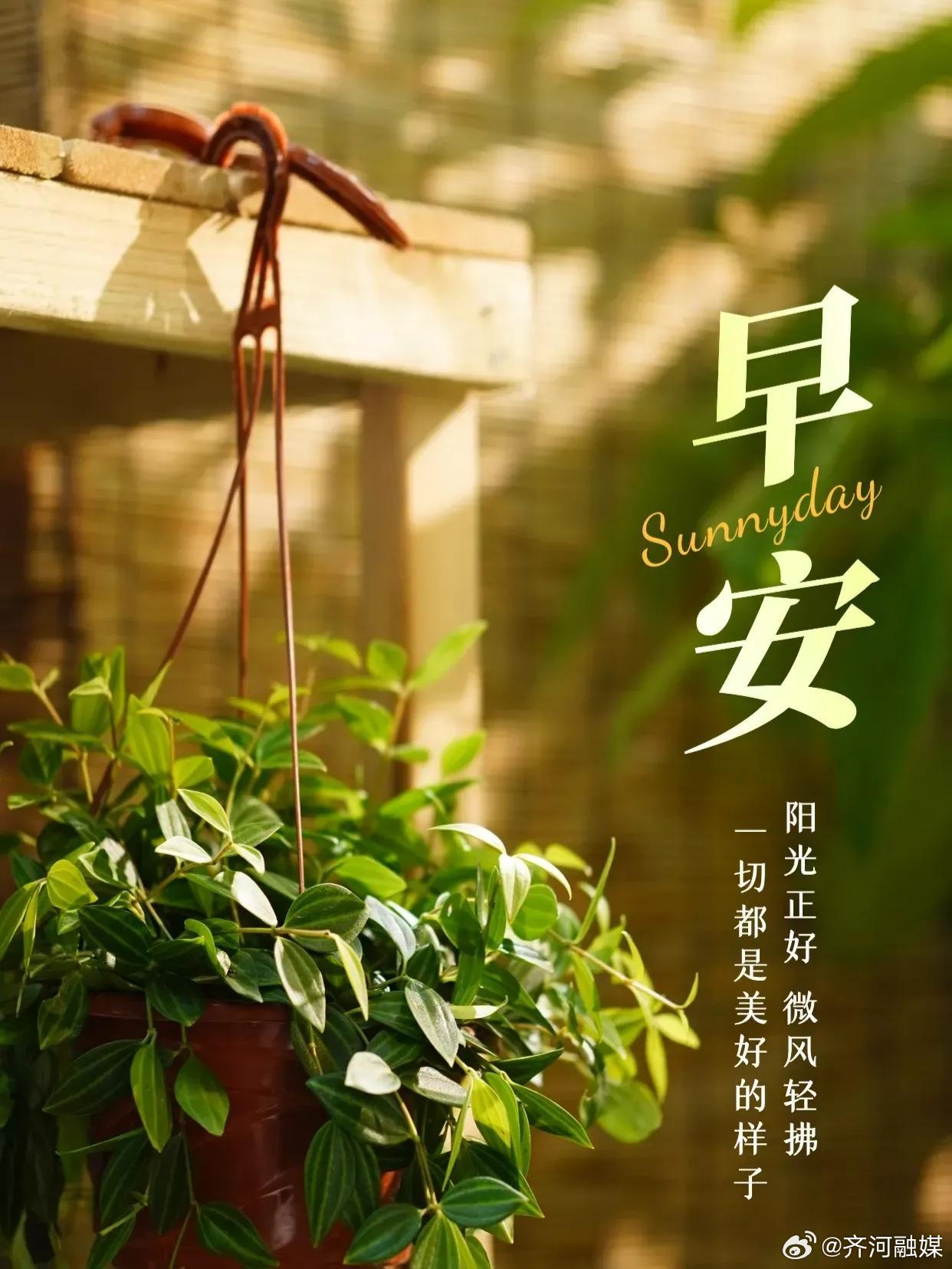 早安最新图,小巷深处的独特风情