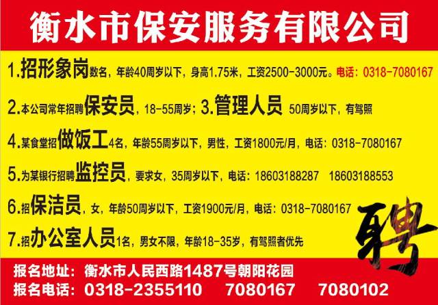 衡水最新招聘信息全面概览