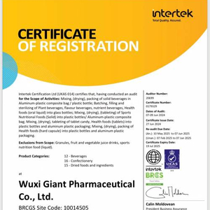 4949澳门特马,实地验证研究方案_AJZ27.607交互式版