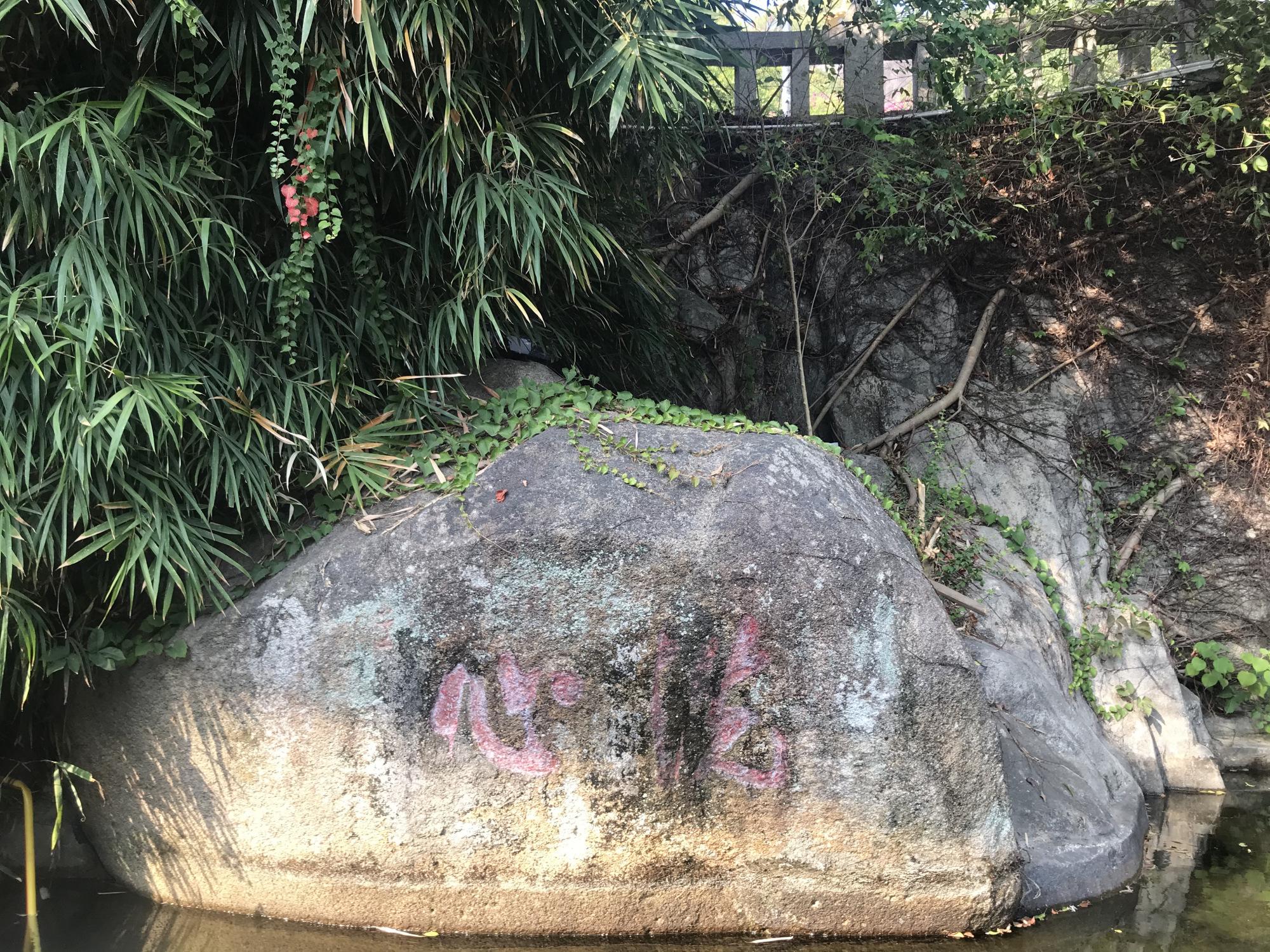 厦门招工信息更新，自然之旅探寻内心平和与宁静的启程