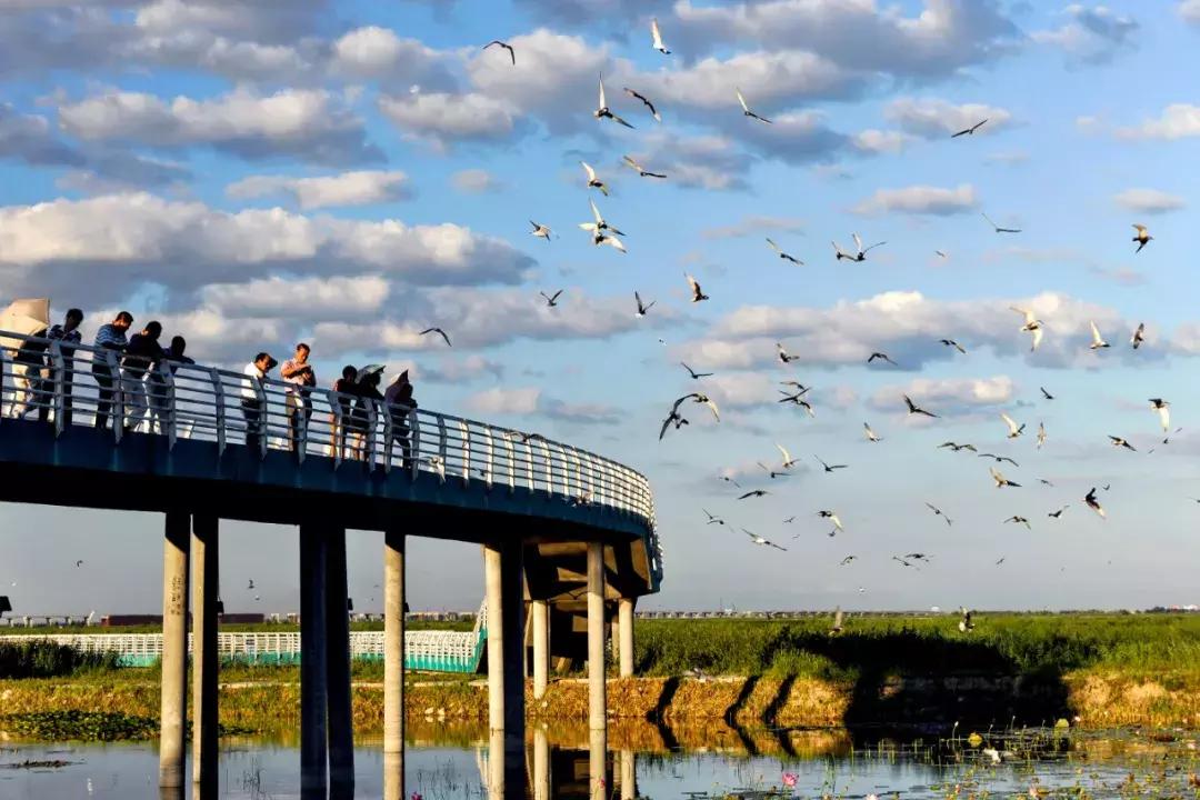 大庆最新招聘，启程探索自然美景，寻找内心的宁静与平和