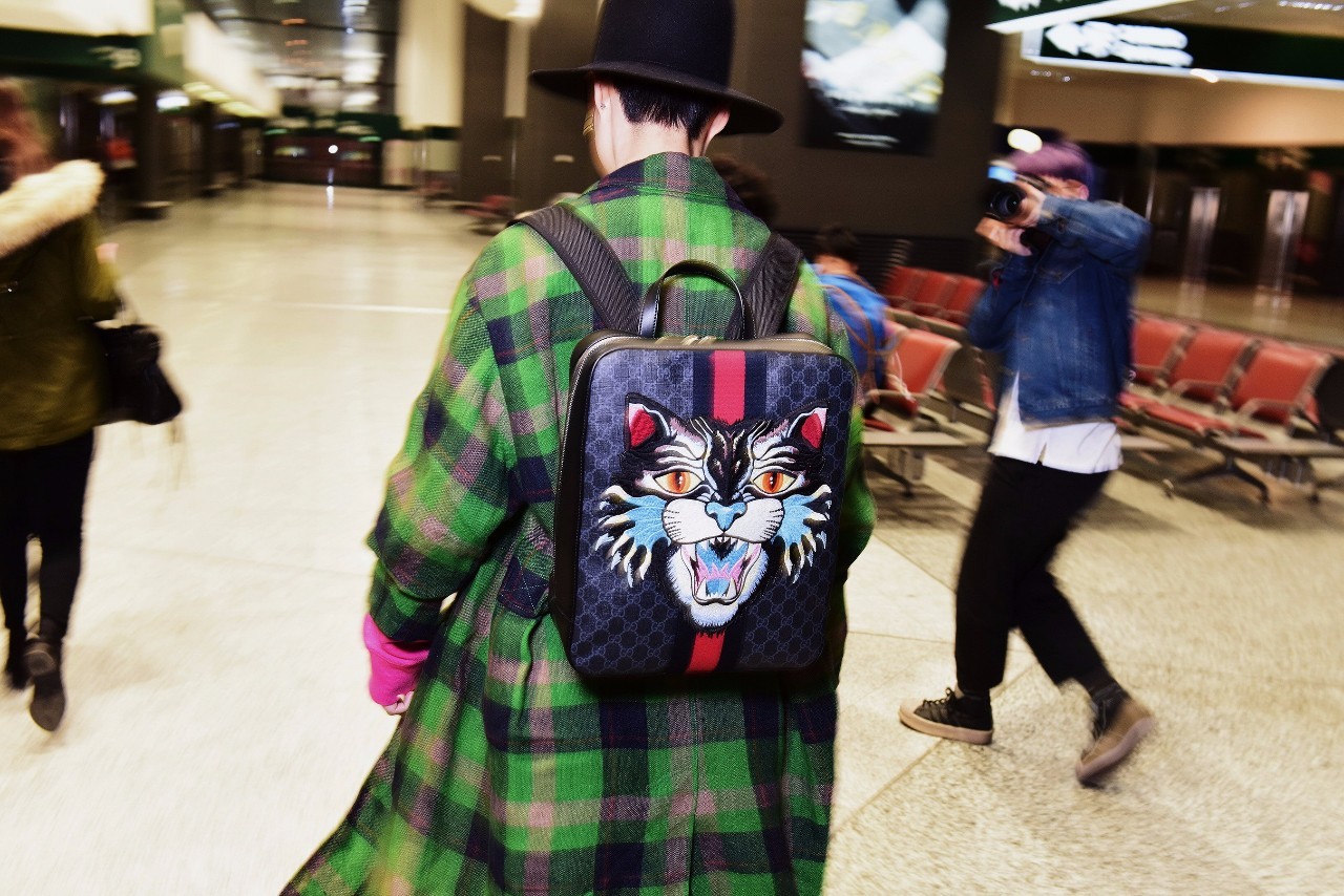 gucci最新款,Gucci最新款，小巷深处的时尚秘境