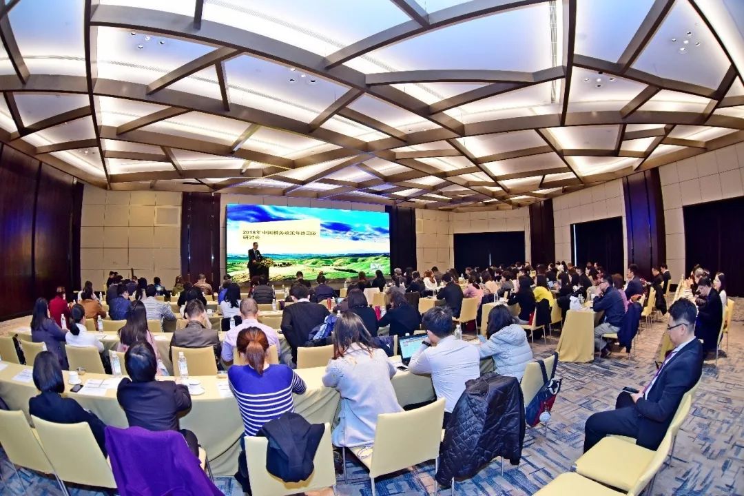 全球政治格局新动态，中国发展策略与最新政治新闻解读