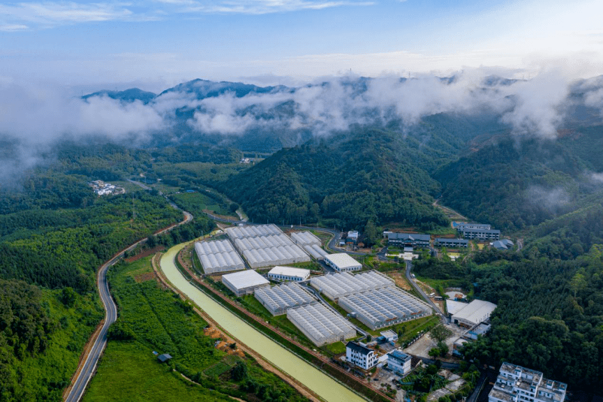 平陆新闻最新动态,小巷深处的独特风味揭秘