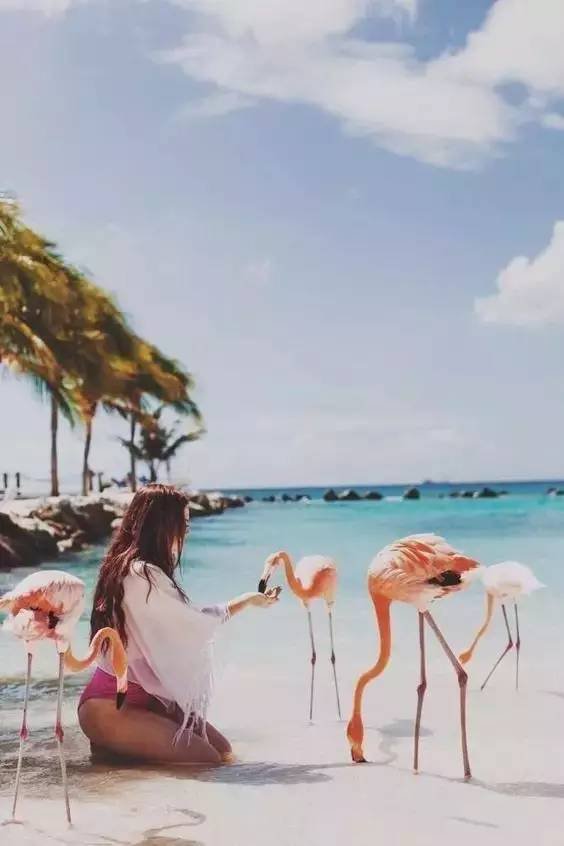 最新聊天皮肤图片,探索自然美景,寻找内心平和的旅行