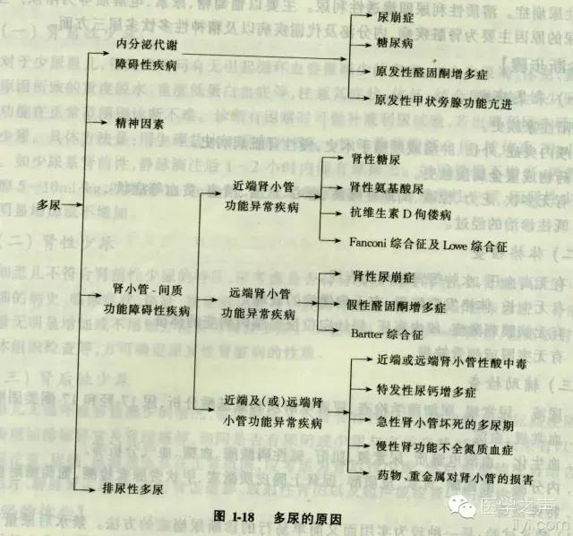澳门最准确的跑狗图,多元化诊断解决_SUW47.963程序版