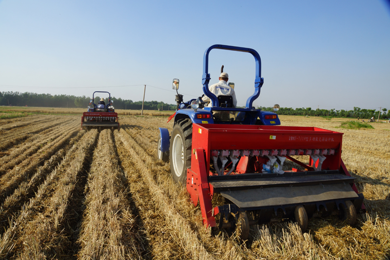 农业革新利器，最新种姜机器重磅登场