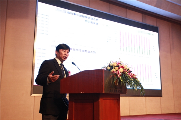 香港期期准正版资料大全,深度解析数据应用_DP76.624-2