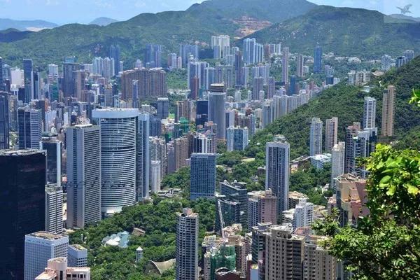 香港最准100%中特资料,实时解答解析说明_4K版38.999-2