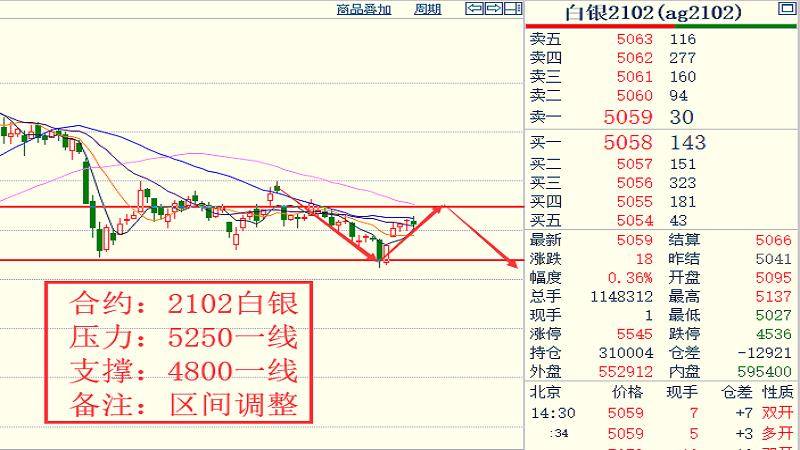 圆葱最新价格动态,市场分析、趋势预测与科普解读
