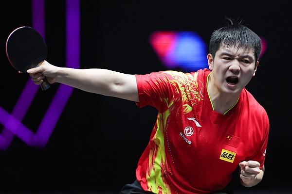 国乒最新动态报道