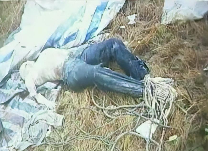 最新无名尸公告揭秘，背景、事件与影响探索