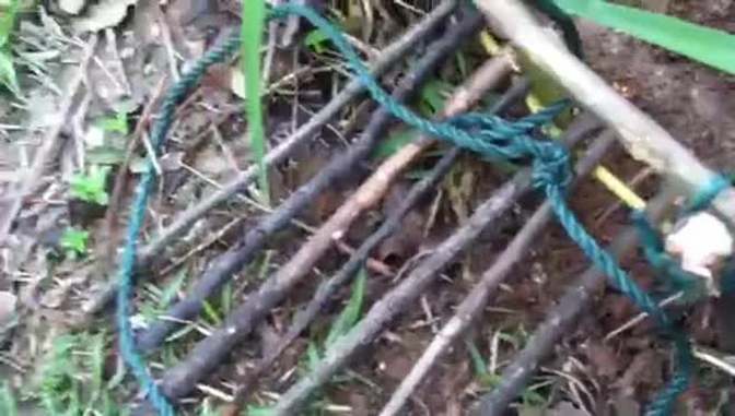 关于最新吊脚套视频的深度解析及其背后的技巧与奥秘探讨