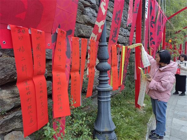 2024年新奥特开奖记录,统计评估解析说明_基础版4.644-5