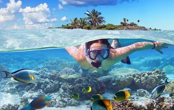 公众号微商城 第476页