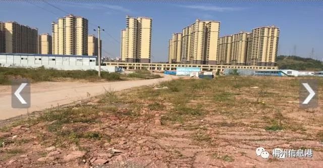 梅州芹洋半岛建设最新进展更新