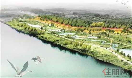 公众号微商城 第422页