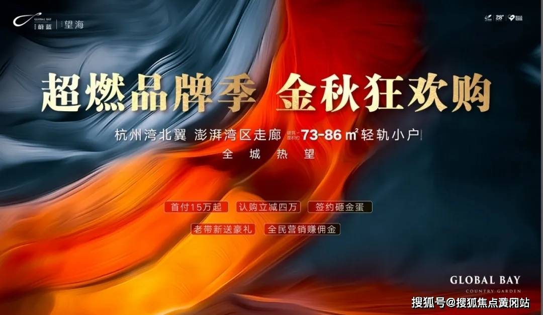 关于最新款IPAID的价格深度解析与观点阐述