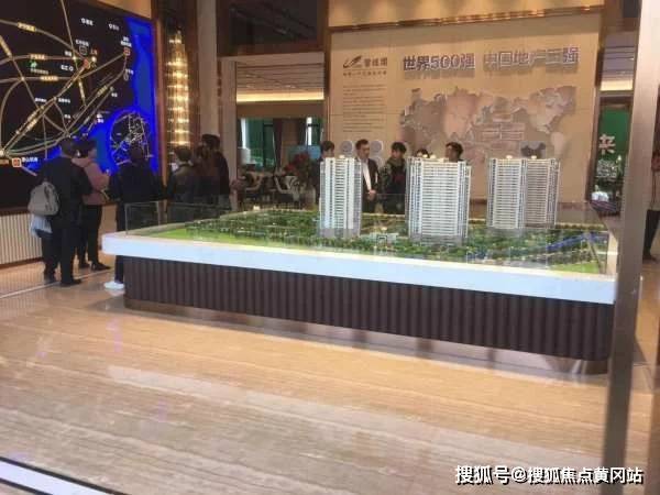 关于最新款IPAID的价格深度解析与观点阐述