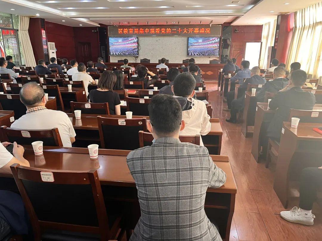 鼎城大系统最新消息详解，步骤指南与更新动态